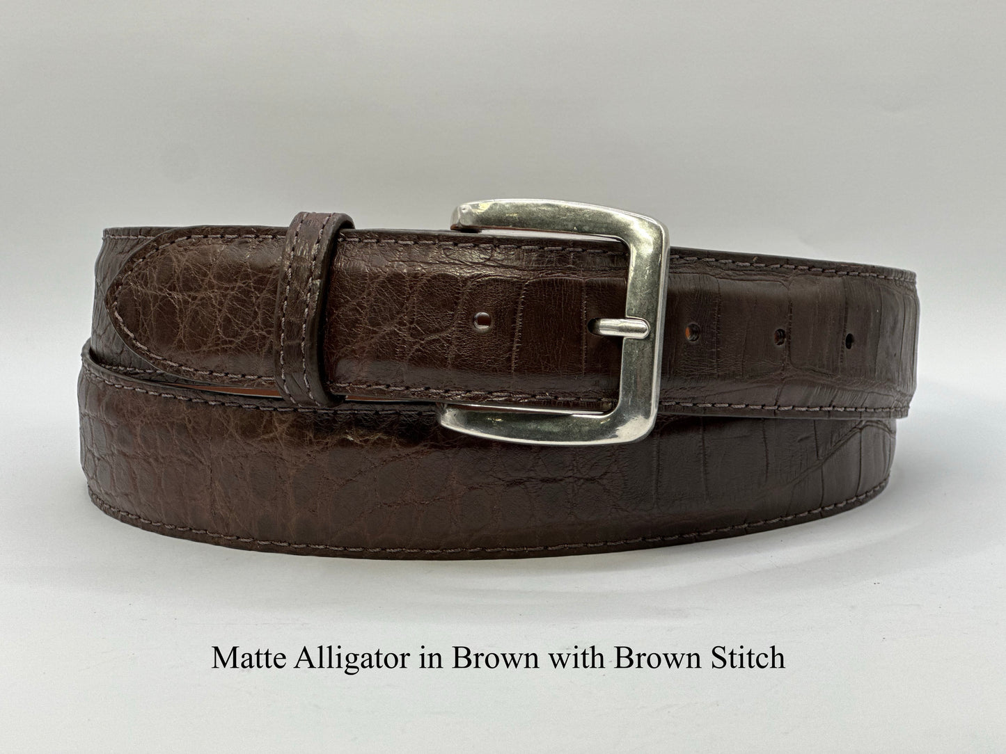 American Alligator