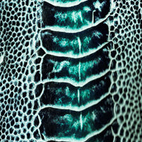 Ostrich Leg Two Tone