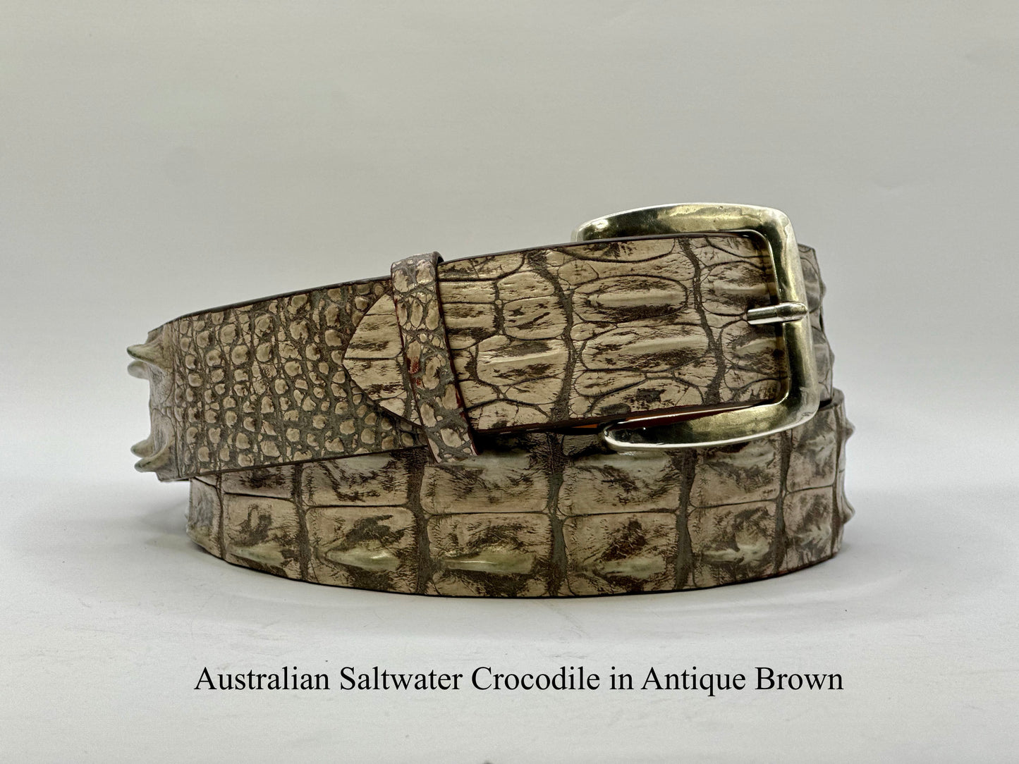 Australian Hornback Saltwater Crocodile
