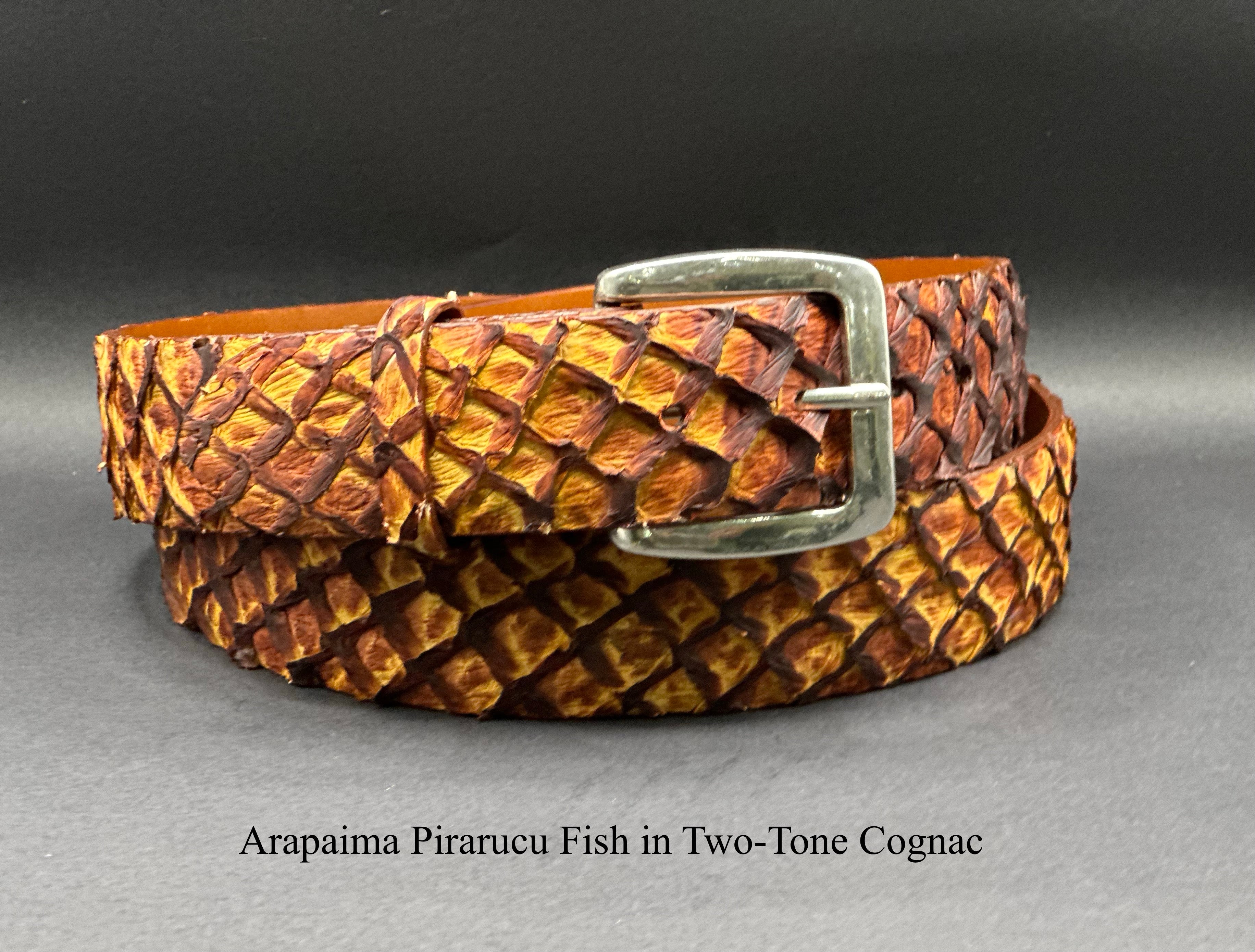 Pirarucu sale fish belt