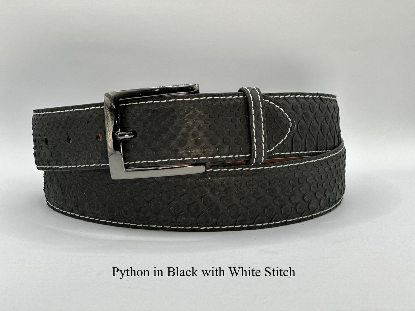 Python Snake Skin